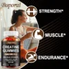 creatine monohydrate gummies boost energy, build muscle mass, and improve athletic performance