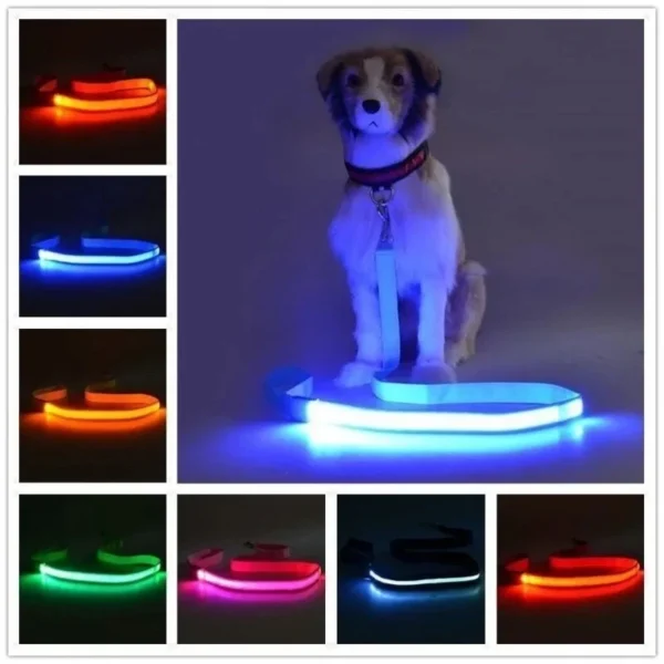 led pet dog leash rope with light luminous lead leash usb charging for dog safety flashing glowing collar harness accessories led pet dog leash rope with light luminous lead leash usb charging for dog safety flashing glowing collar harness accessories