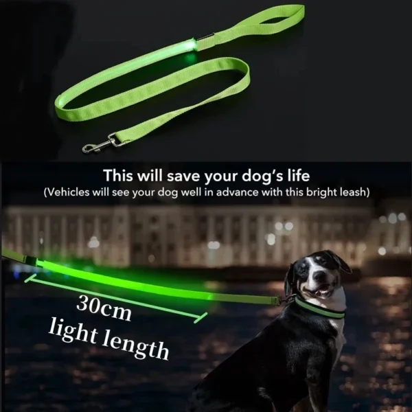 led pet dog leash rope with light luminous lead leash usb charging for dog safety flashing glowing collar harness accessories led pet dog leash rope with light luminous lead leash usb charging for dog safety flashing glowing collar harness accessories