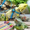reptile lizard harness leash adjustable walking hauling cable belt traction rope pet supplies collar chest strap blue reptile lizard harness leash adjustable walking hauling cable belt traction rope pet supplies collar chest strap blue